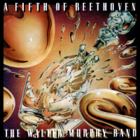Album art from A Fifth of Beethoven by The Walter Murphy Band