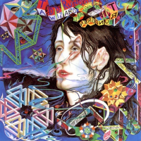 Album art from A Wizard, A True Star by Todd Rundgren