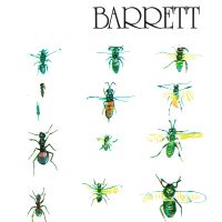 Album art from Barrett by Syd Barrett