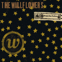 Album art from Bringing Down the Horse by The Wallflowers