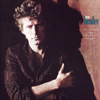 Album art from Building the Perfect Beast by Don Henley