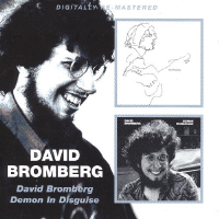 Album art from David Bromberg / Demon in Disguise by David Bromberg