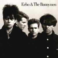 Album art from Echo & the Bunnymen by Echo & the Bunnymen