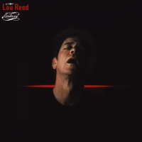 Album art from Ecstasy by Lou Reed