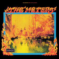 Album art from Fire on the Bayou by The Meters