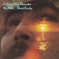 Album art from If I Could Only Remember My Name by David Crosby