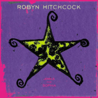 Album art from Jewels for Sophia by Robyn Hitchcock