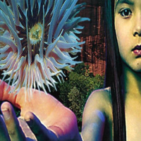 Album art from Lifeforms by The Future Sound of London