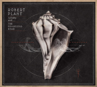 Album art from Lullaby and...the Ceaseless Roar by Robert Plant and the Sensational Space Shifters