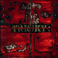 Album art from Maxinquaye by Tricky
