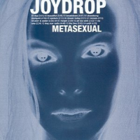 Album art from Metasexual by Joydrop