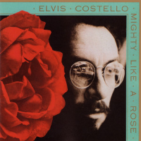 Album art from Mighty Like a Rose by Elvis Costello