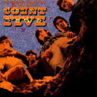 Album art from Psychotic Reaction: The Very Best of Count Five by Count Five