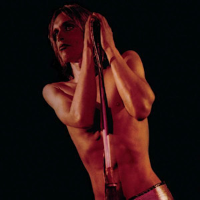 Album art from Raw Power by Iggy and the Stooges