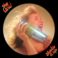 Album art from Shake It Up by The Cars