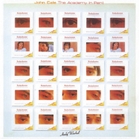 Album art from The Academy in Peril by John Cale