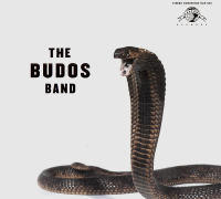 Album art from The Budos Band III by The Budos Band
