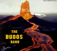 Album art from The Budos Band by The Budos Band