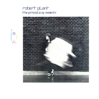 Album art from The Principle of Moments by Robert Plant