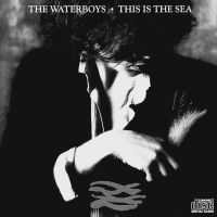 Album art from This Is the Sea by The Waterboys