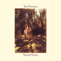 Album art from Tupelo Honey by Van Morrison