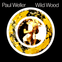 Album art from Wild Wood by Paul Weller
