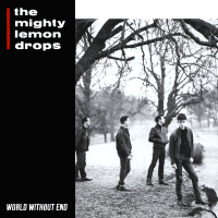 Album art from World Without End by The Mighty Lemon Drops